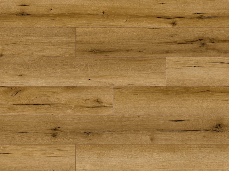 Sangha Oak